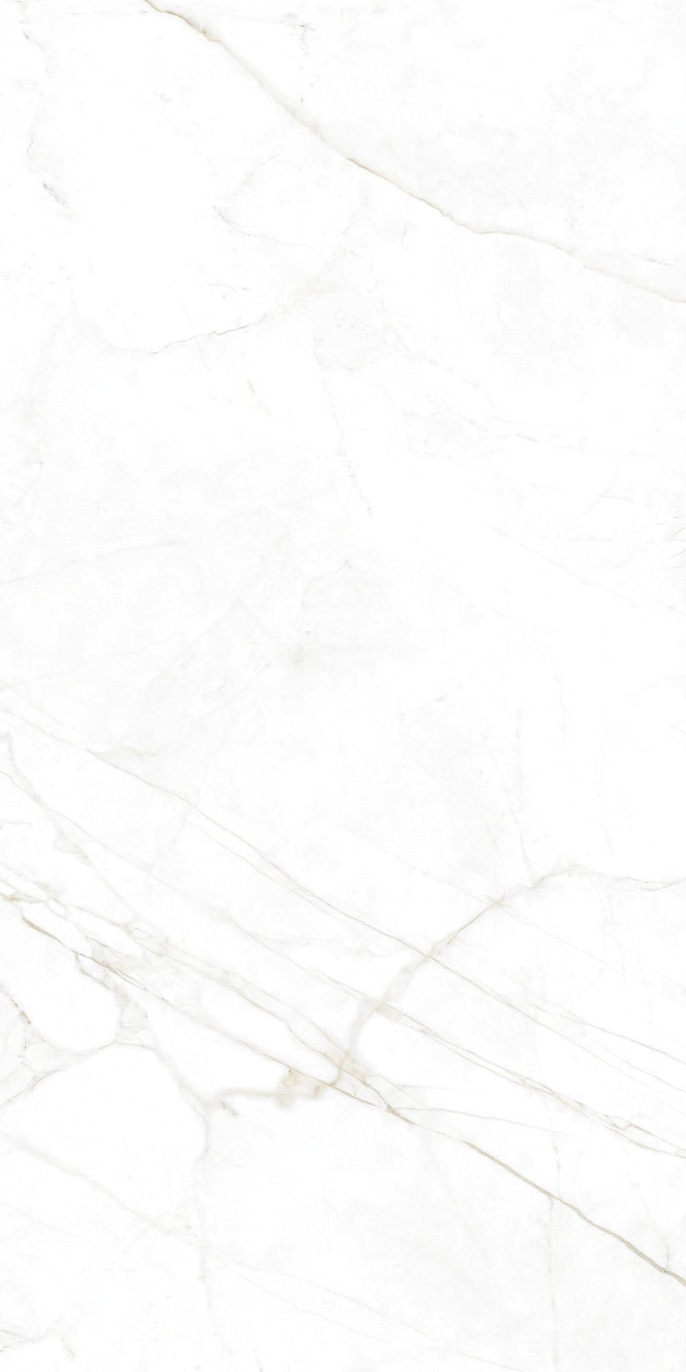 MUSEUM dual white