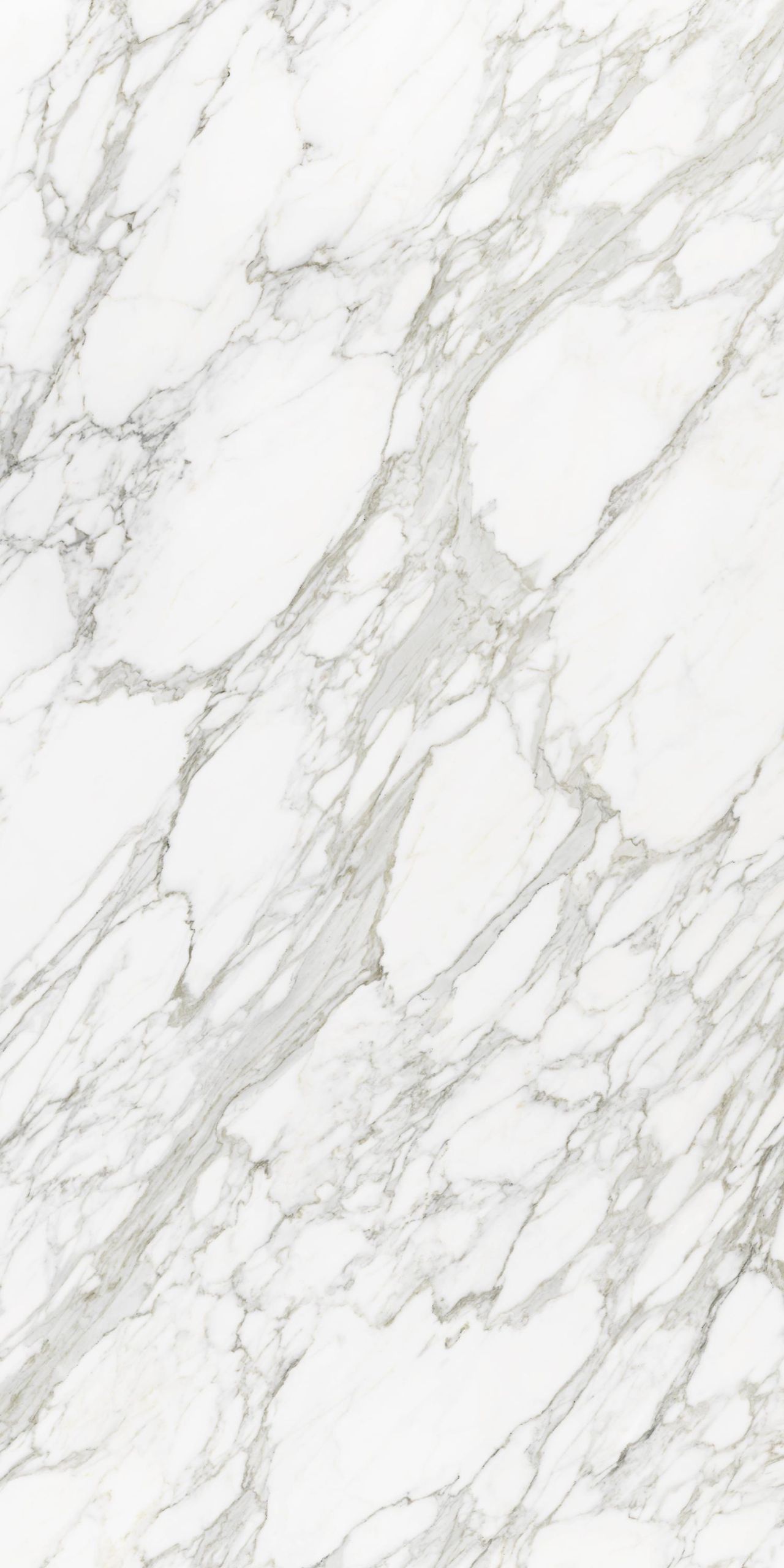 NEOLITH calacatta royale